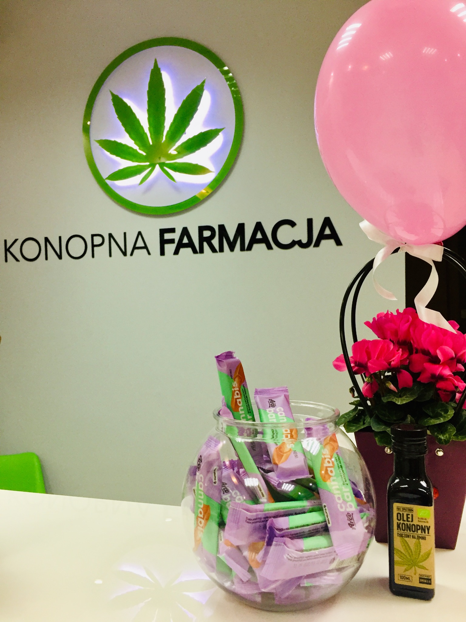 Recepcja Konopnej Farmacji z dekoracją: różowy balon, kwiaty w metalowym koszyku, słoik pełen batonów konopnych i butelka oleju konopnego 100ml.