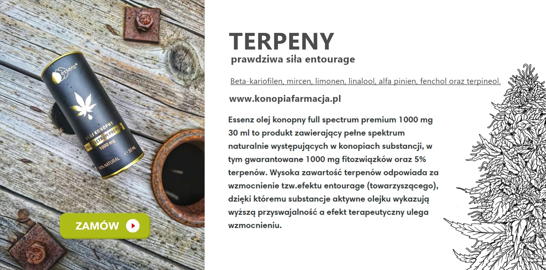 Czarna buteleczka olejku konopnego Essenz 1000mg z motywem liścia marihuany na drewnianym tle z rustykalnym akcentem, obok gliniana miseczka i zardzewiała śruba, w tle tekst informacyjny...