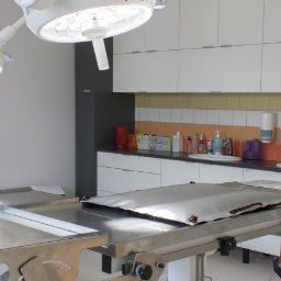 W czasie wykonywanej operacji na sali zawsze znajduje się chirurg weterynaryjny oraz anestezjolog i technik.