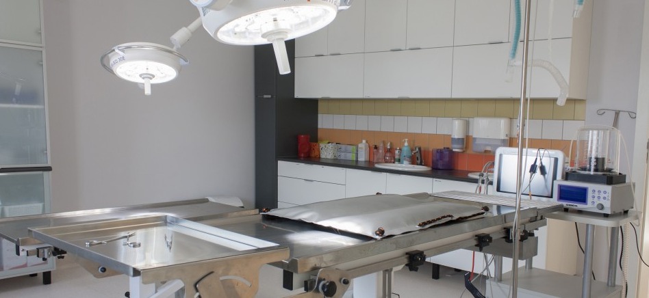 W czasie wykonywanej operacji na sali zawsze znajduje się chirurg weterynaryjny oraz anestezjolog i technik.