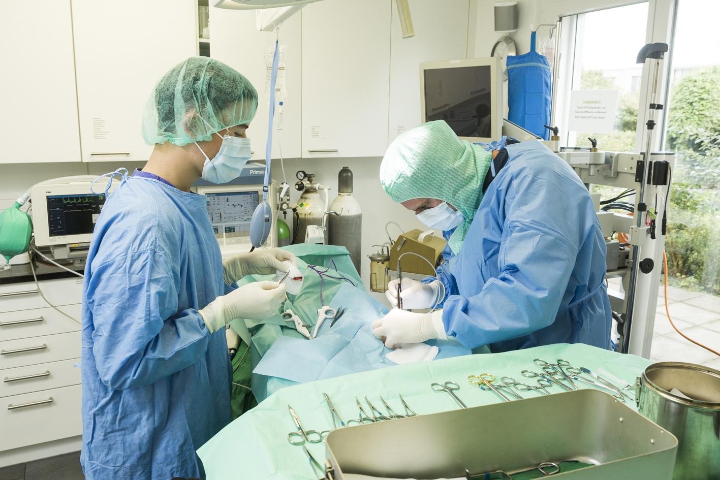 Dwóch chirurgów w niebieskich strojach operacyjnych przeprowadza zabieg na zwierzęciu pod przykryciem, widoczny kardiomonitor, butle z gazem i narzędzia chirurgiczne na stole.