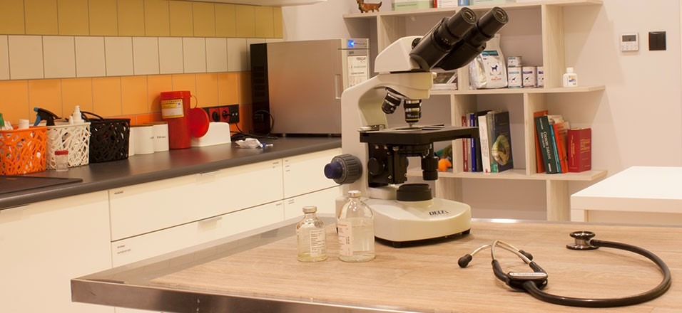 W naszym laboratorium codziennie przeprowadzamy szereg analiz, co pozwala nam na szybkie postawienie rozpoznania.