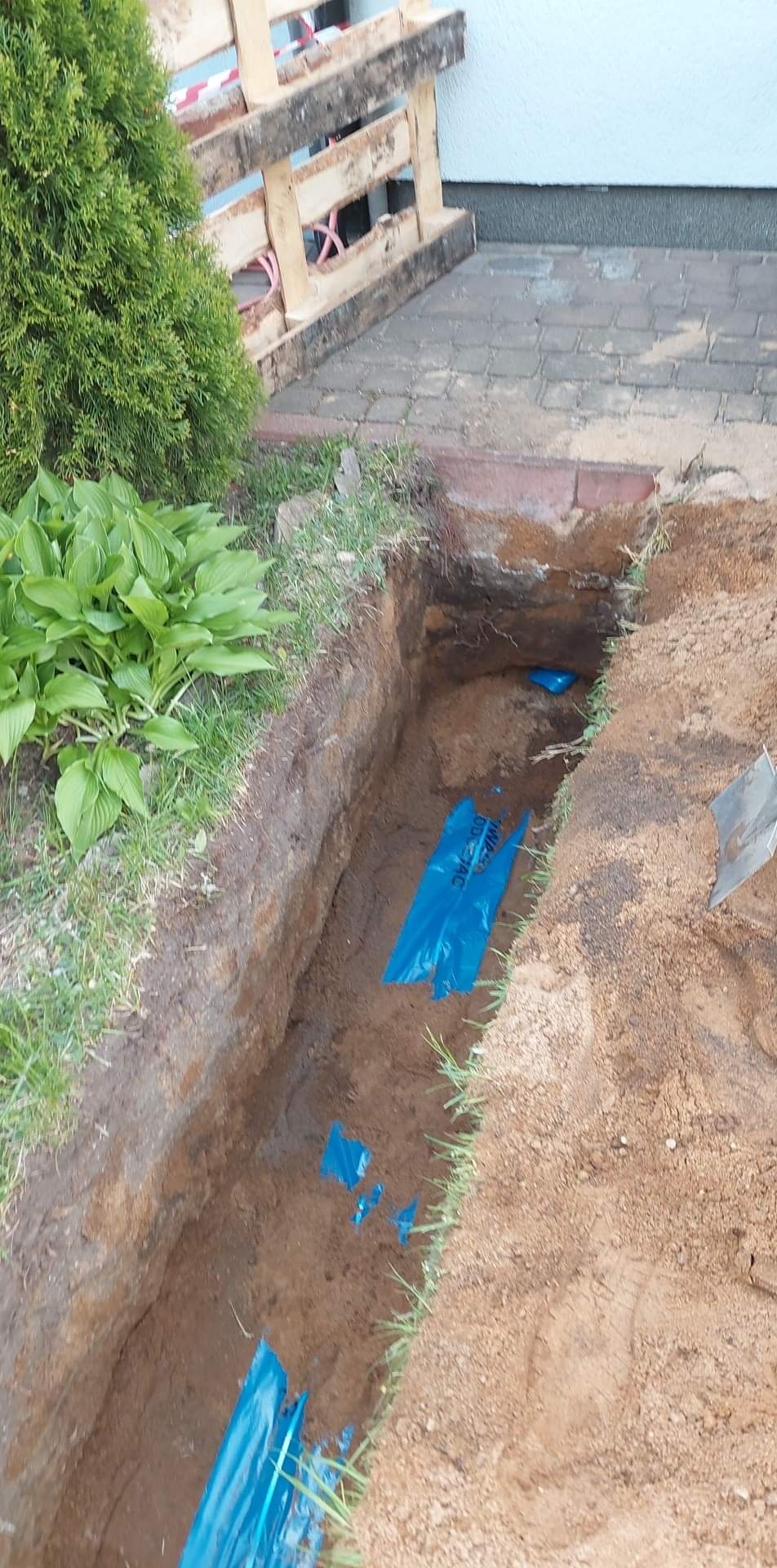 Wykop w ziemi z niebieską folią zabezpieczającą rury, widok z góry, obok kostka brukowa i roślinność.