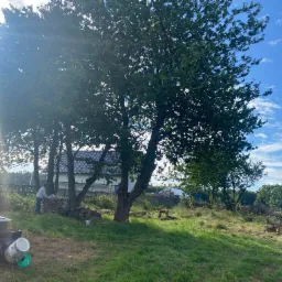 Dwóch mężczyzn pracuje przy porządkowaniu terenu z powalonych gałęzi i przygotowywaniu drewna opałowego w słoneczny dzień; w tle widoczny dom i niebo z chmurami.