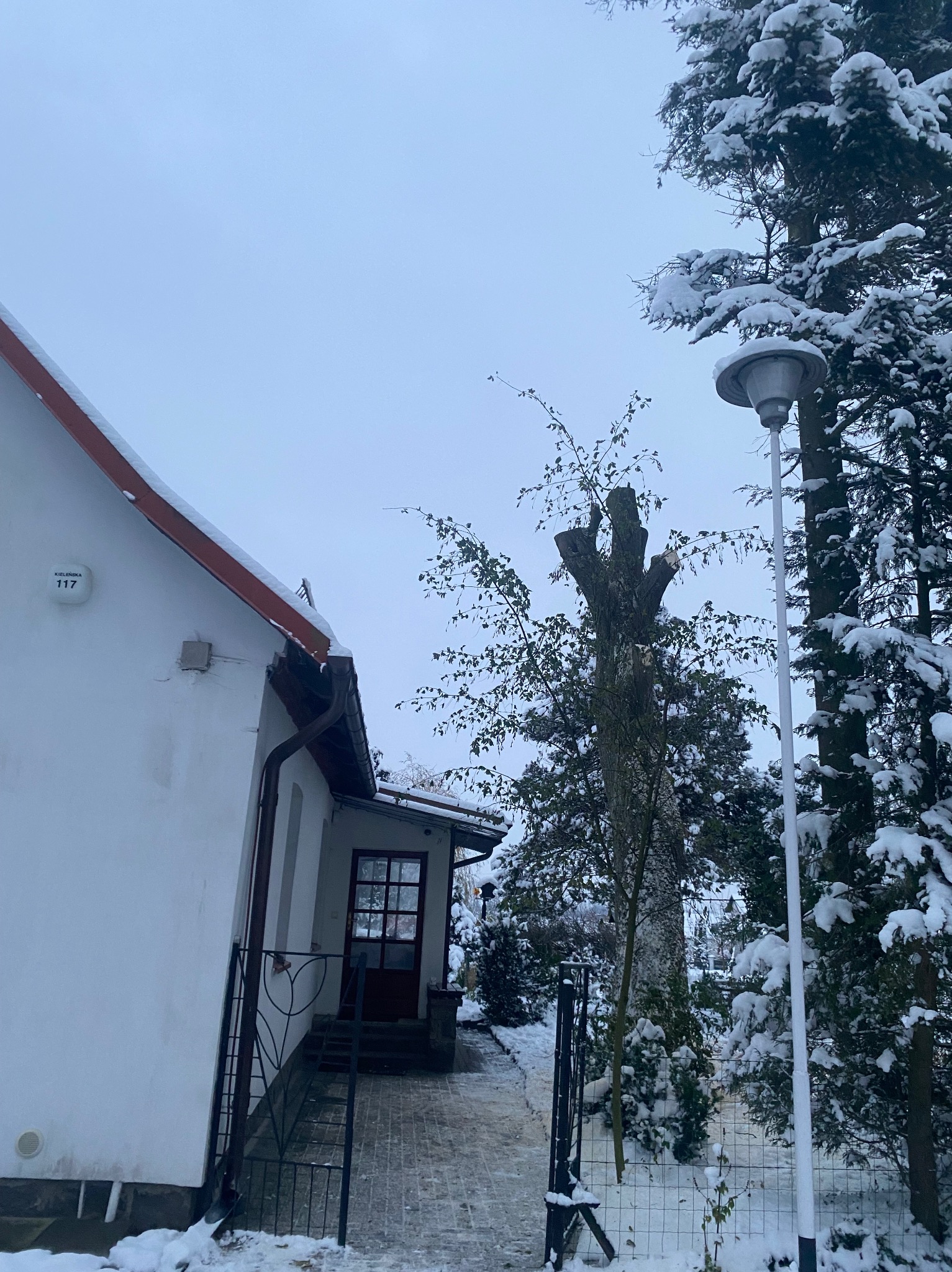 Śnieżny krajobraz z przyciętym drzewem przed domem, widoczne ślady po cięciu gałęzi, oświetlenie uliczne i drzewa iglaste pokryte śniegiem.