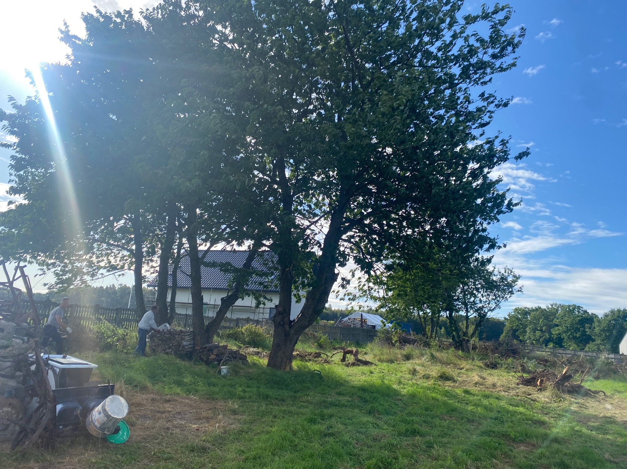 Dwóch mężczyzn pracuje przy porządkowaniu terenu z powalonych gałęzi i przygotowywaniu drewna opałowego w słoneczny dzień; w tle widoczny dom i niebo z chmurami.