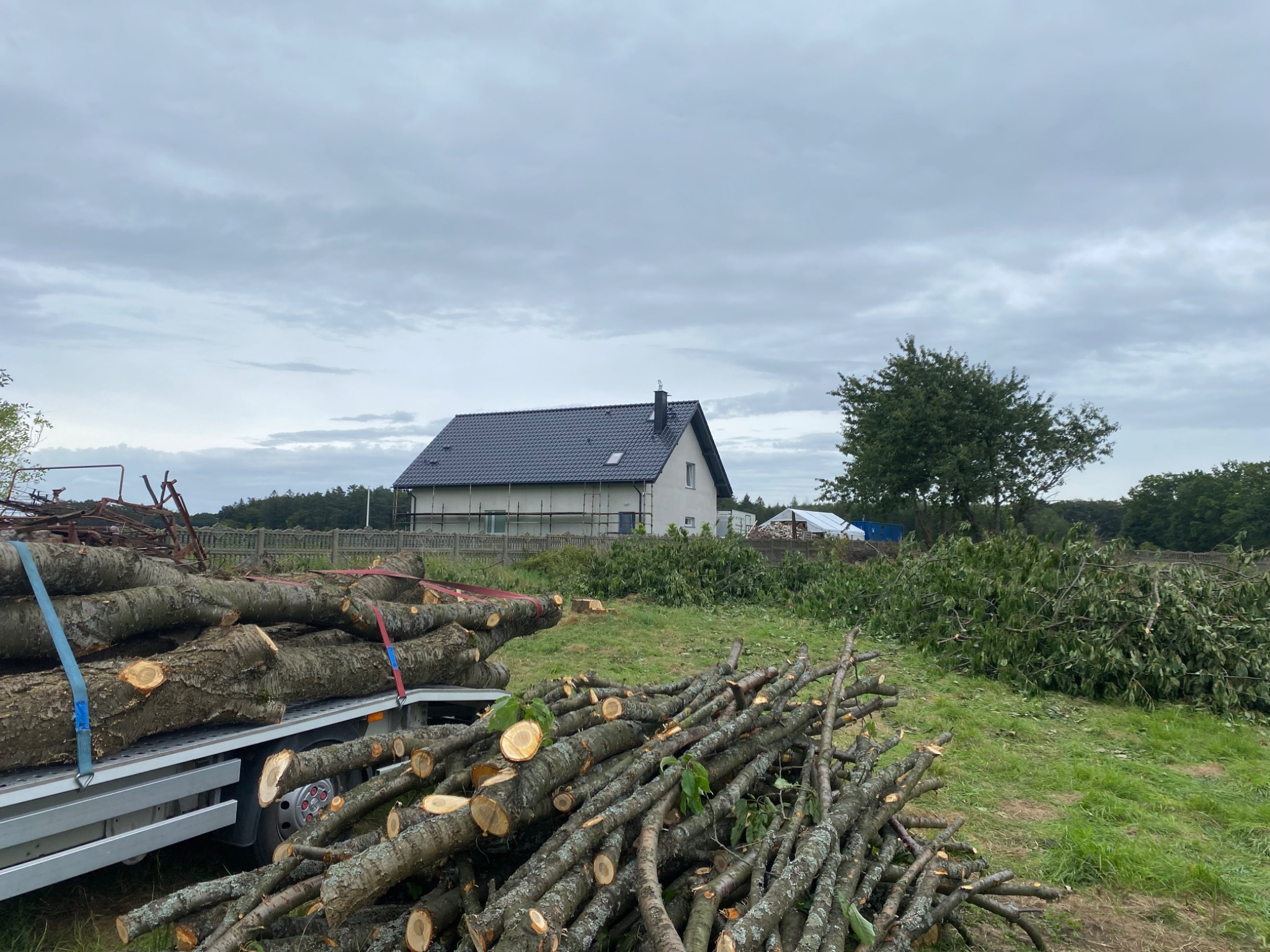 Ciężarówka z załadunkiem pociętych pni drzew, w tle nowy dom z czarnym dachem i zielona trawa po wycince.