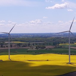 FW Skurpie obejmuje dziewiętnaście turbin wiatrowych typu Siemens SWT-2.3-108 o wysokości wieży 115 m i średnicy wirnika 108 m, stację GPZ, podziemną infrastrukturę linii przesyłowych, jak również drogi dojazdowe. Całkowita moc FW Skurpie to 43,7 MW.