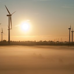 Konfiguracja FW Puck obejmuje 11 turbin wiatrowych typu Gamesa G87 o wysokości wieży 78 m i średnicy wirnika 87 m, stację GPZ, podziemną infrastrukturę linii przesyłowych, jak również drogi dojazdowe do każdej turbiny. Całkowita moc FW Puck to 22 MW.