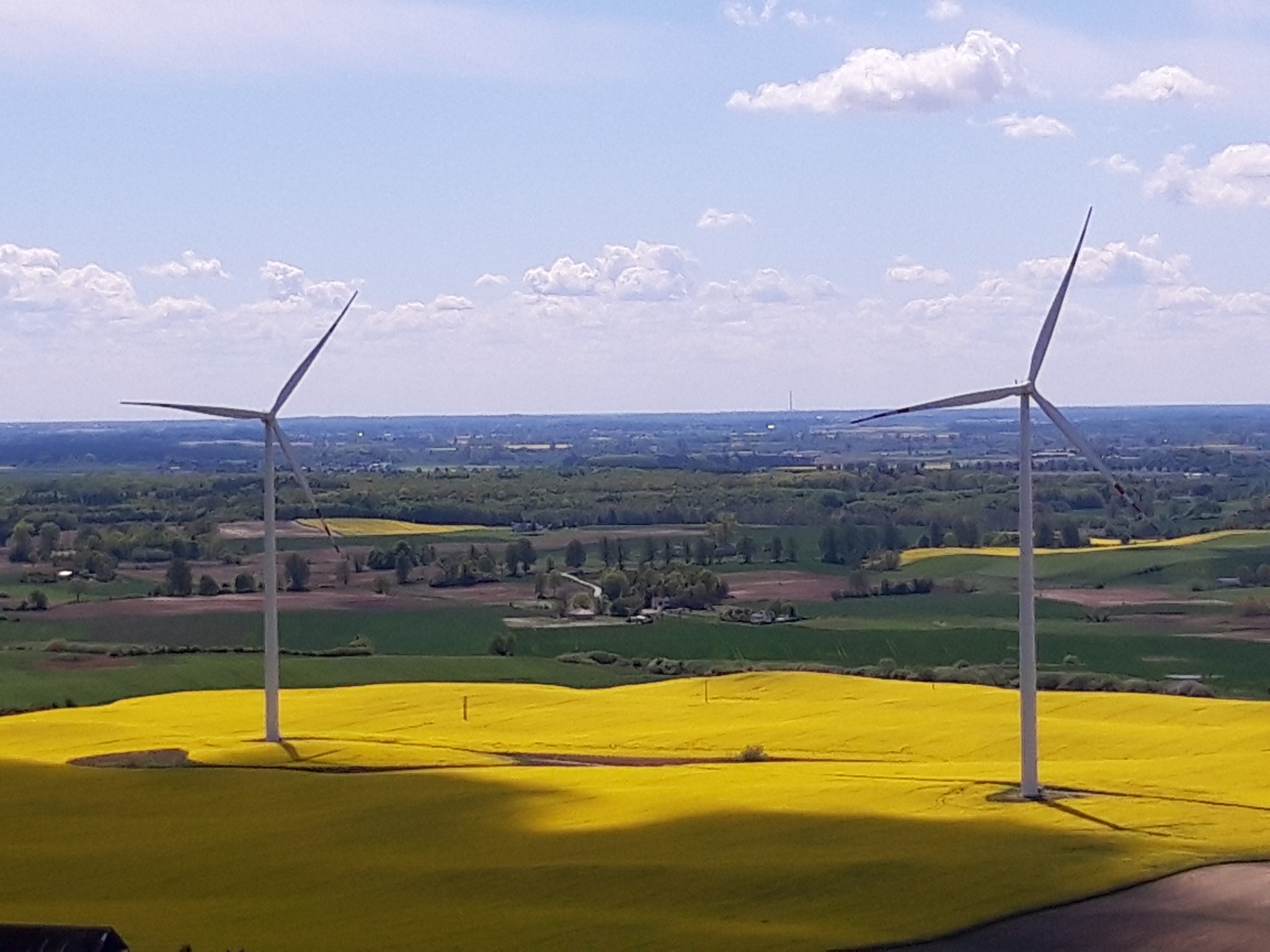 Dwie turbiny wiatrowe na tle pól rzepaku i odległego krajobrazu z widocznym horyzontem w słoneczny dzień.