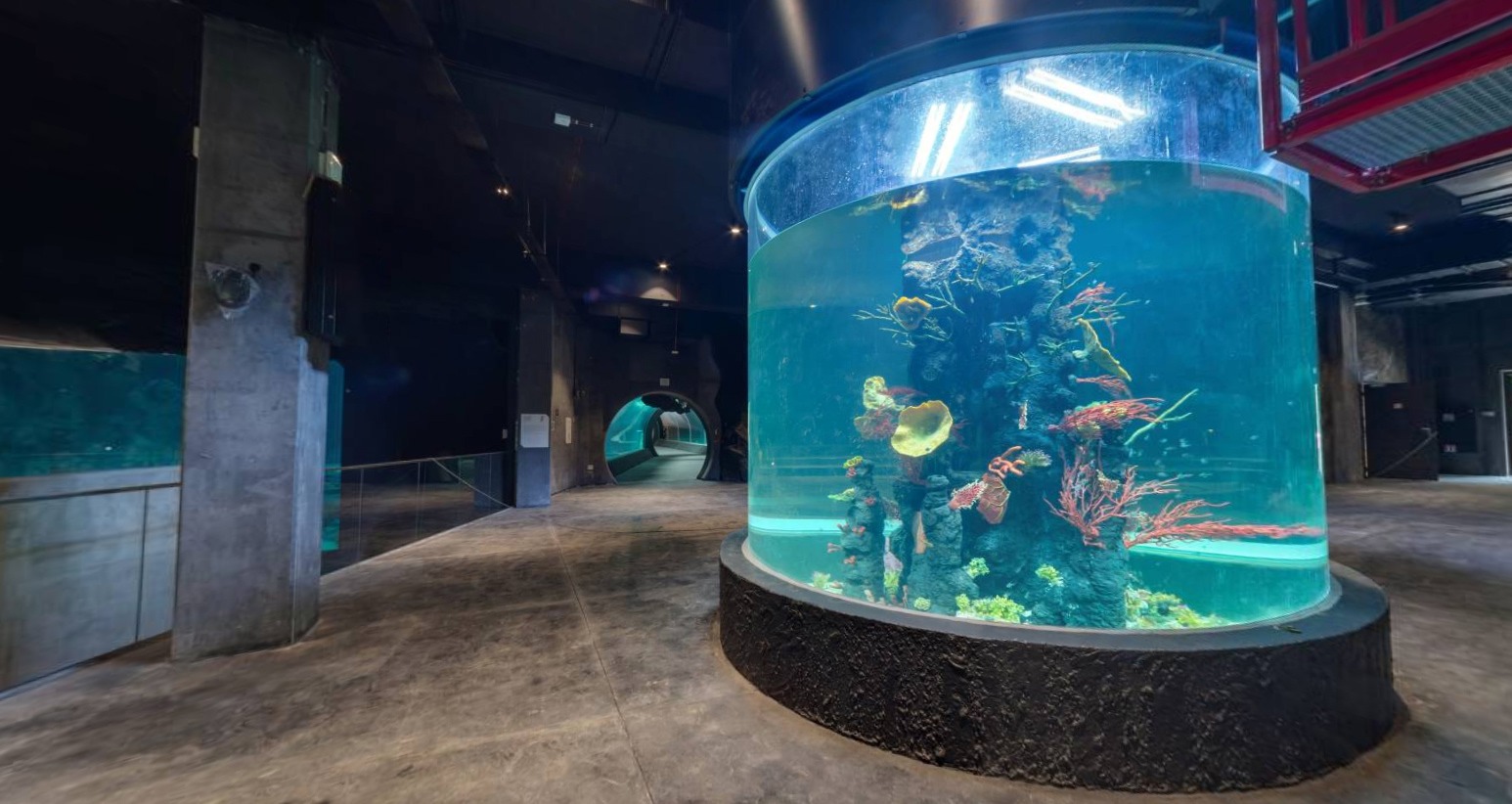 Wnętrze oceanarium z cylindrycznym akwarium z koralowcami i rybami, widok na tunel podwodny w tle.