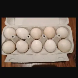 Dziesięć surowych kurzych produktów w tekturowej wytłaczance, ułożonych na drewnianym blacie.