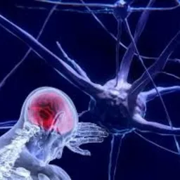 Szkic głowy z zaznaczonym na czerwono mózgiem i schematycznym przedstawieniem neuronów na ciemnoniebieskim tle.