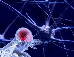 Szkic głowy z zaznaczonym na czerwono mózgiem i schematycznym przedstawieniem neuronów na ciemnoniebieskim tle.