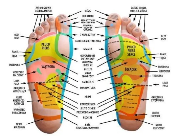 Kolorowa mapa refleksologiczna stóp z zaznaczonymi punktami odpowiadającymi narządom wewnętrznym i częściom ciała, z opisami w języku polskim.