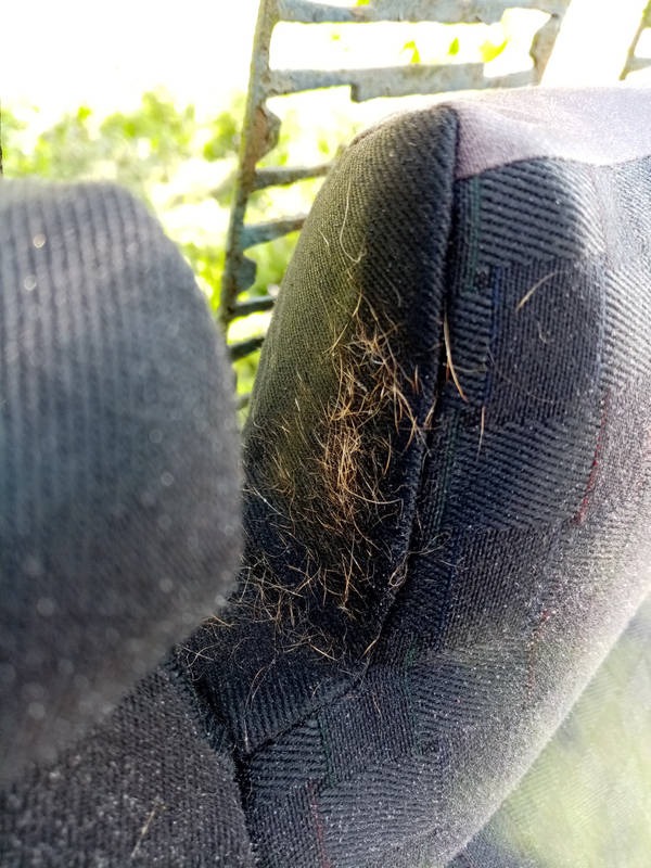 Auto przed wykonaniem usługi Prania tapicerki