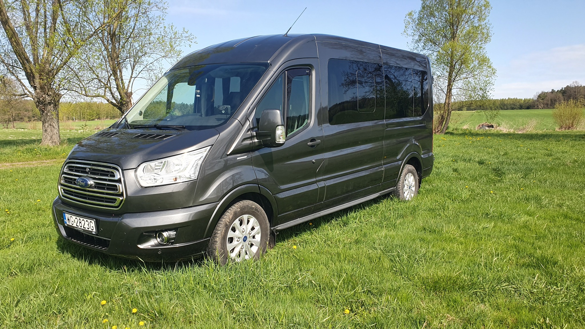 Ciemnoszary bus Ford Transit na łące z młodą trawą i wiosennymi drzewami w tle, widok z przodu na lekko pochylonym terenie.