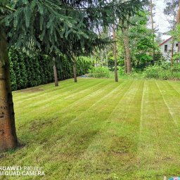 Bajkowy Ogród - Drenaż Opaskowy Bartąg
