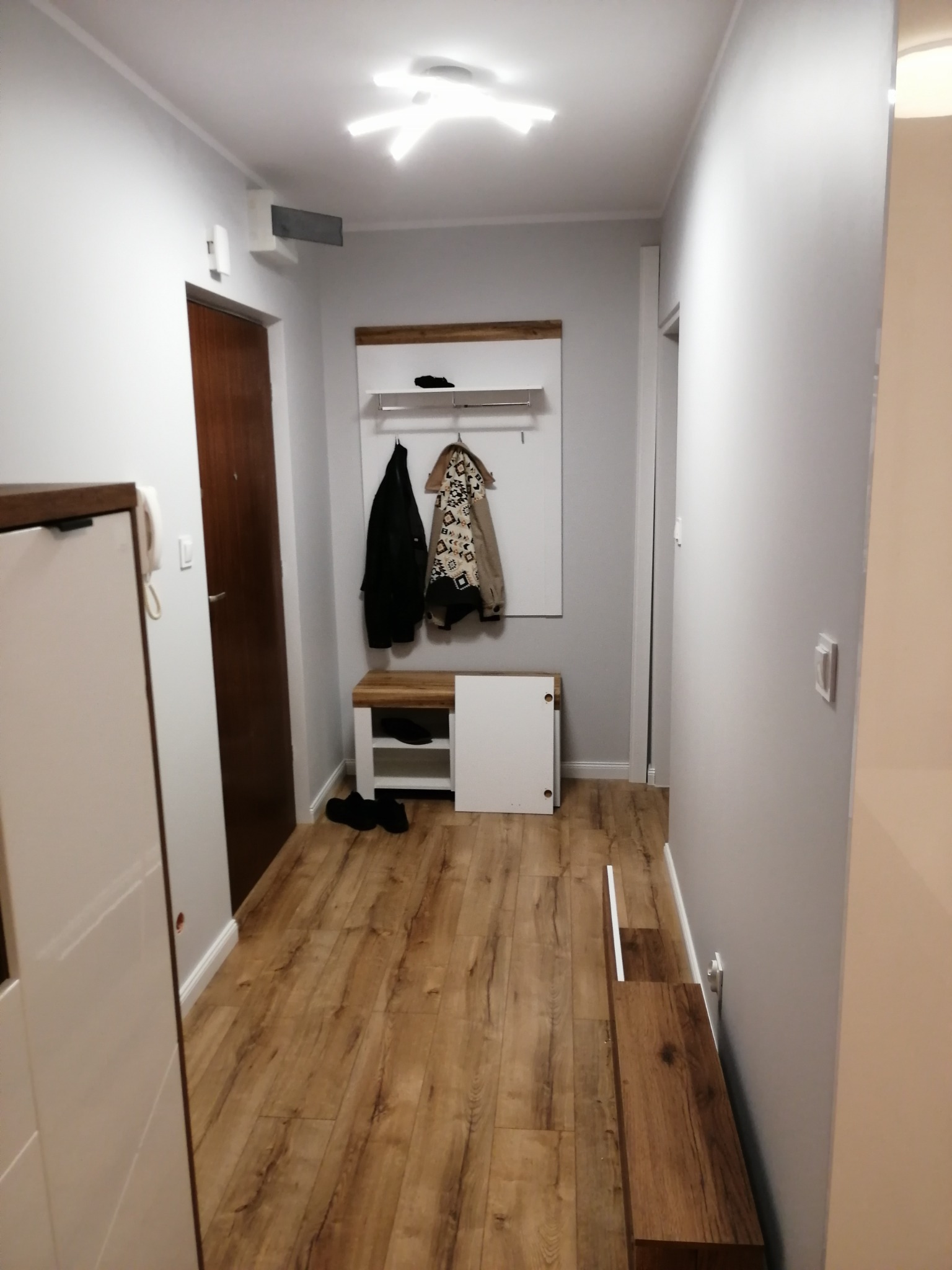 Przedpokój w odcieniach szarości z drewnianą podłogą i meblami, widoczne wieszaki z ubraniami, szafka na buty i oświetlenie sufitowe.