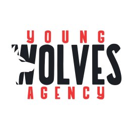 Young Wolves Agency - Tworzenie Serwisów Internetowych Kraków
