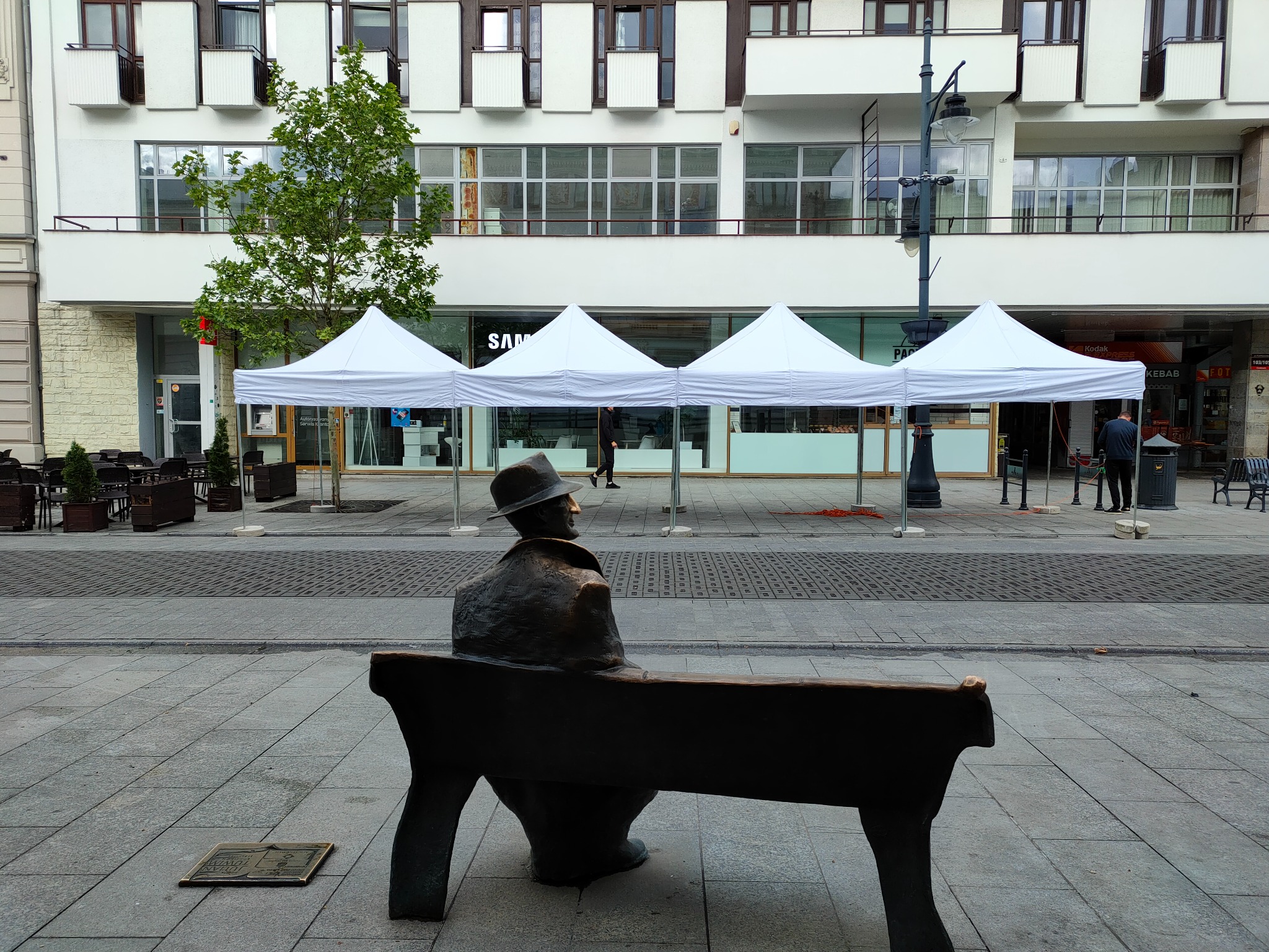 Cztery białe namioty ustawione na placu miejskim, widok zza rzeźby Juliana Tuwima siedzącego na ławce.