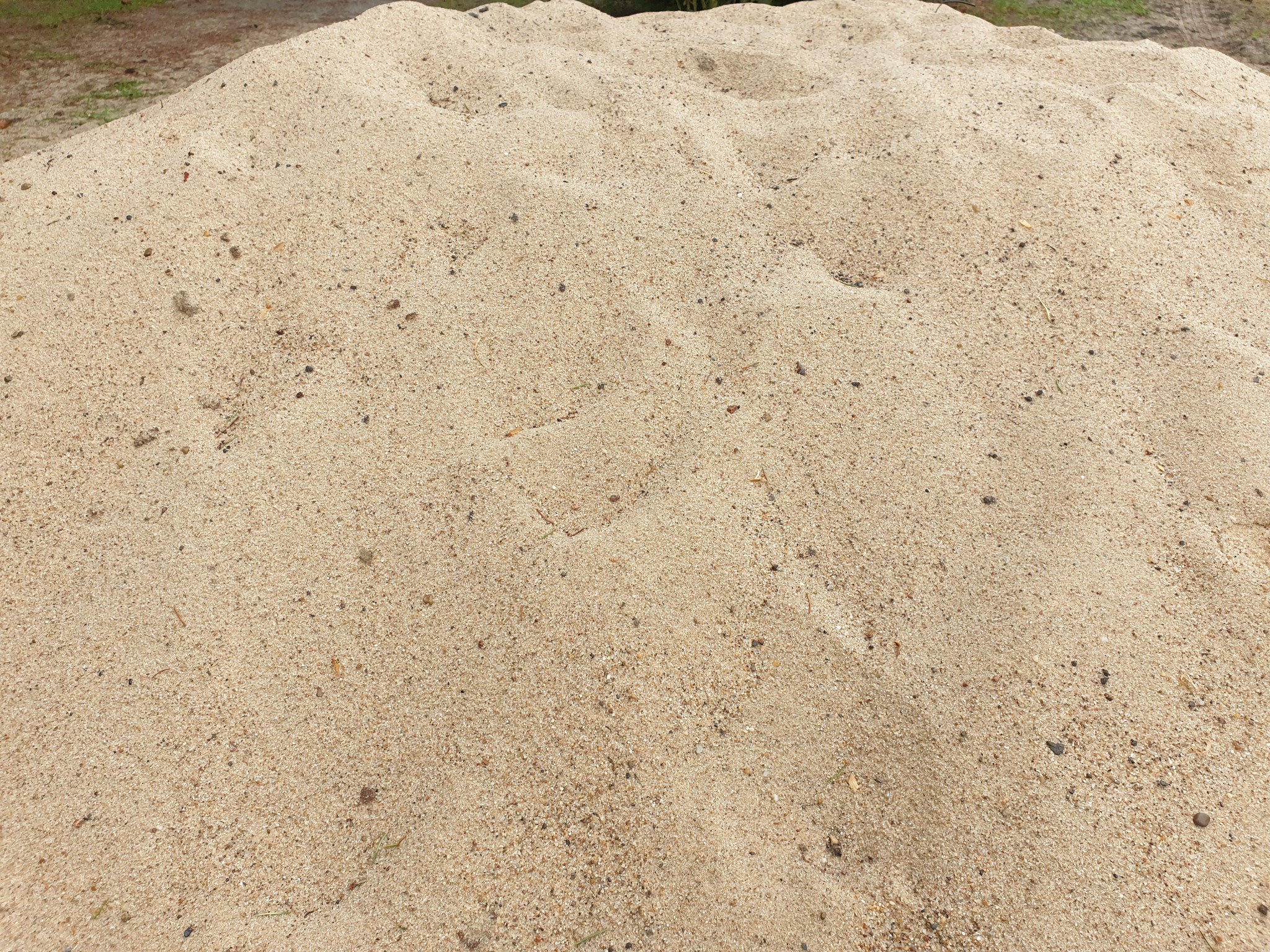 Duża pryzma przesiewanego piasku budowlanego o drobnej granulacji, z widocznymi drobnymi ciemnymi kamyczkami i źdźbłami trawy, oświetlona naturalnym światłem słonecznym.