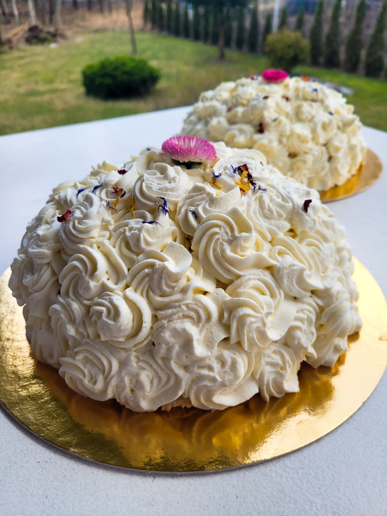 Dwa torty w kształcie kopuły udekorowane białym kremem w rozetki i posypane jadalnymi kwiatami, umieszczone na złotych podkładkach, z rozmytym tłem zieleni.