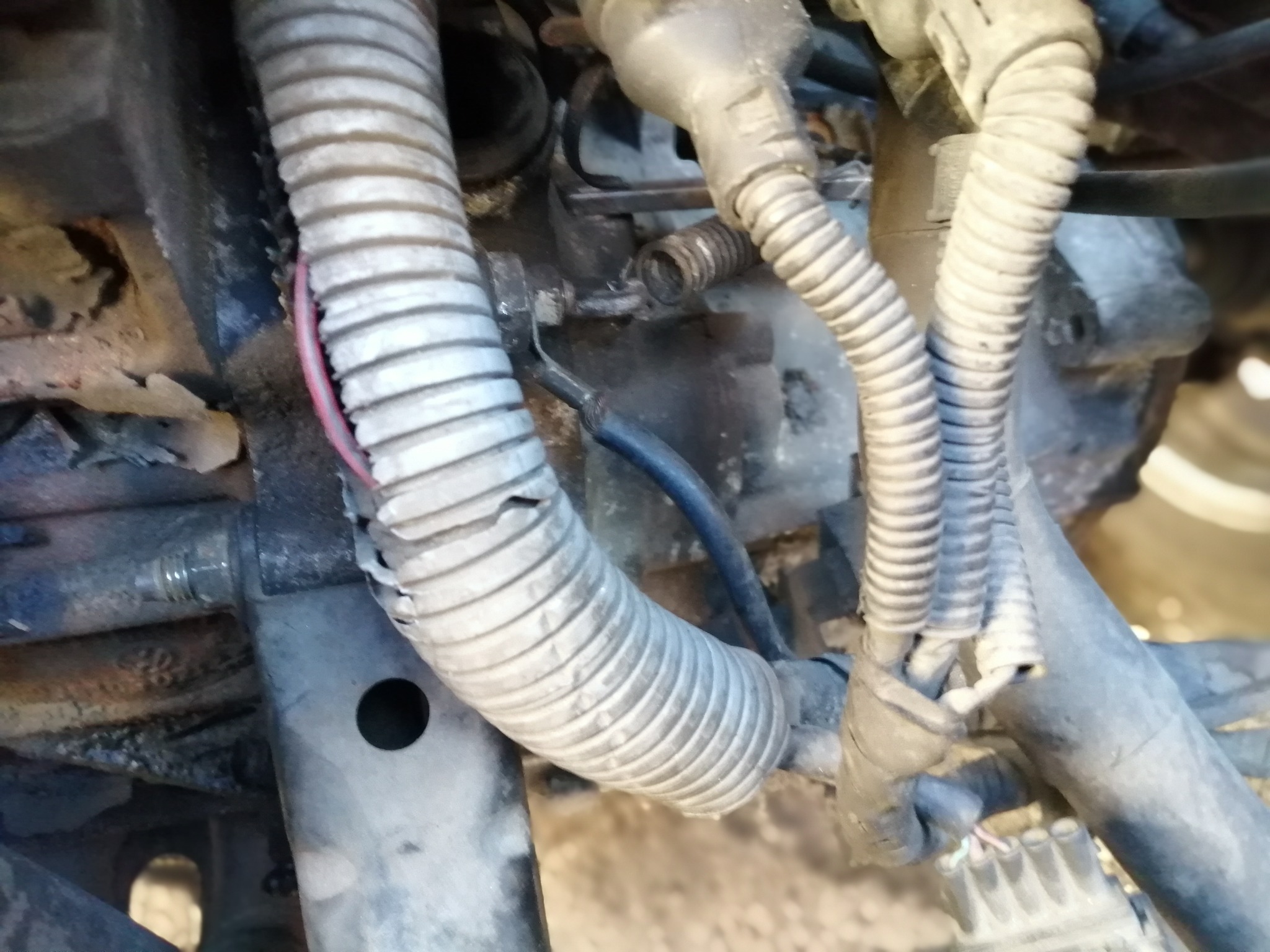 Zbliżenie na fragment silnika samochodowego z widocznymi przewodami w karbowanych osłonach, z których jeden ma uszkodzoną izolację i wystający czerwony przewód.