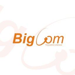 BigCom sp. z o. o. - Wykonanie Strony Internetowej 35-105 Rzeszów