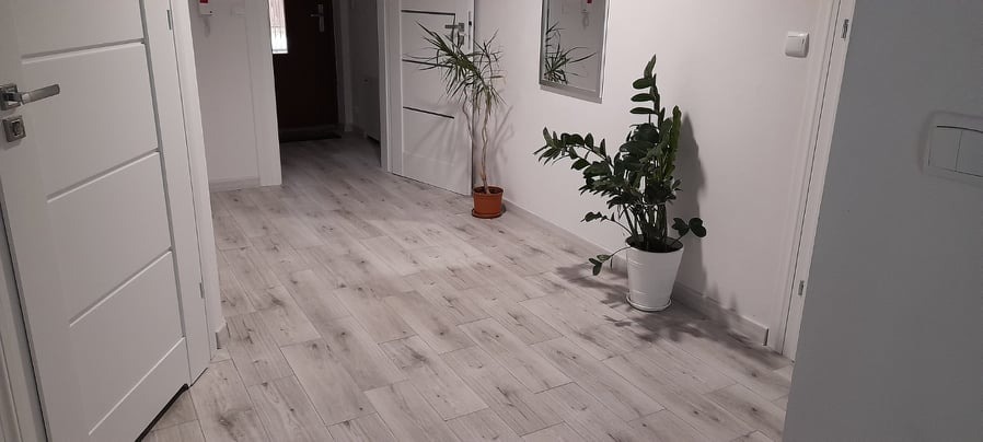Jasne panele podłogowe imitujące drewno w korytarzu z białymi ścianami i drzwiami, uzupełnione dwoma roślinami doniczkowymi i lustrem.