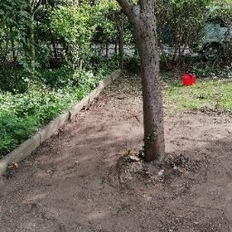 Pielęgnacja ogrodów Wrocław 2