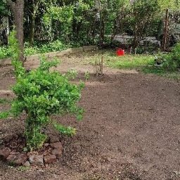 Pielęgnacja ogrodów Wrocław 3