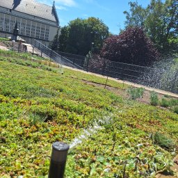 Trawa z rolki Parysów 4