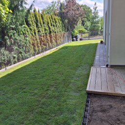 TOP-GARDEN Patryk Talar - Świeżo ułożona darń na trawniku przydomowym, widoczna granica między nową trawą a przygotowanym podłożem, z obrzeżem trawnikowym z tworzywa sztucznego, w tle rząd tuj wzdłuż ogrodzenia.
