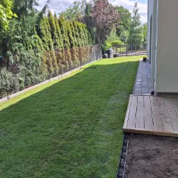 Świeżo ułożona darń na trawniku przydomowym, widoczna granica między nową trawą a przygotowanym podłożem, z obrzeżem trawnikowym z tworzywa sztucznego, w tle rząd tuj wzdłuż ogrodzenia.