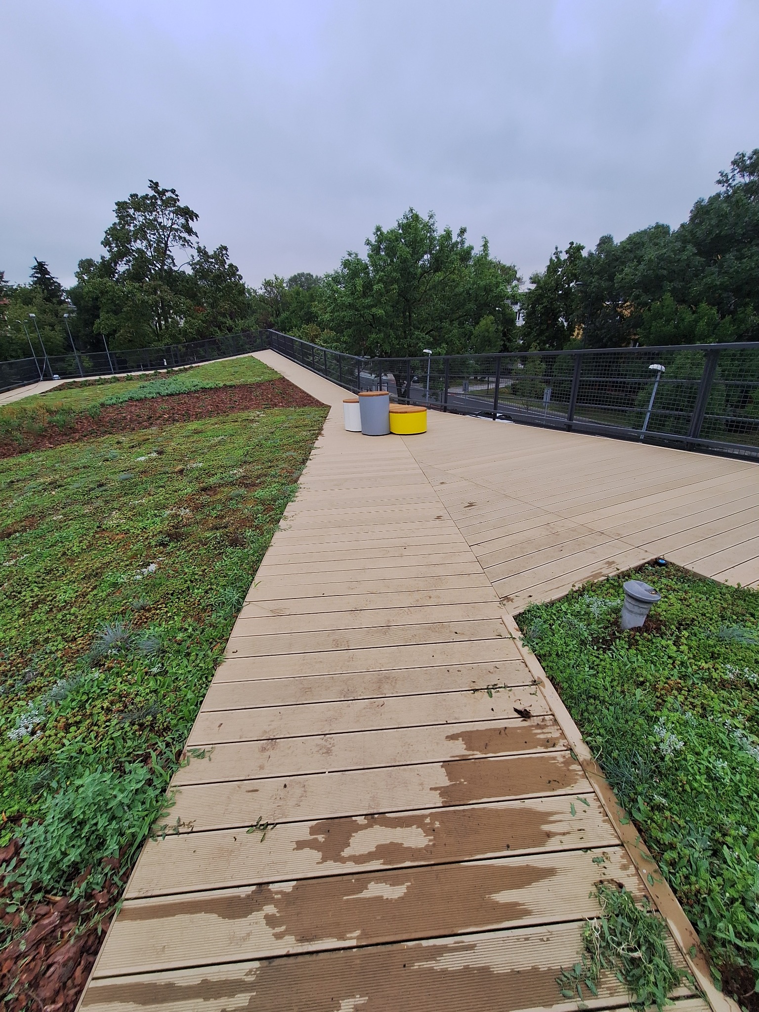 Zielony dach z drewnianą ścieżką, widoczne różne gatunki roślin, w tle drzewa i pochmurne niebo.
