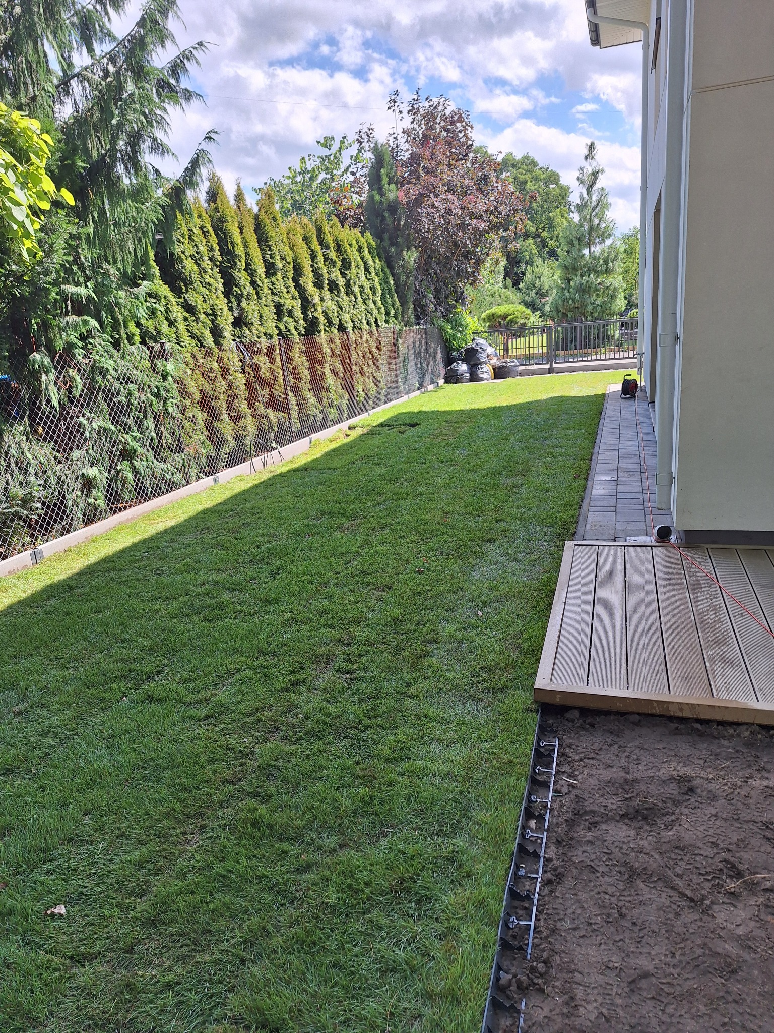 Świeżo ułożona darń na trawniku przydomowym, widoczna granica między nową trawą a przygotowanym podłożem, z obrzeżem trawnikowym z tworzywa sztucznego, w tle rząd tuj wzdłuż ogrodzenia.