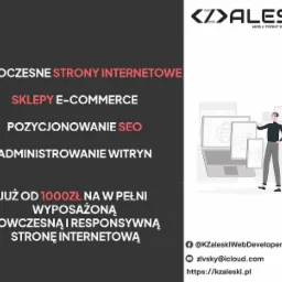 Grafika reklamowa firmy web developerskiej Aleski, prezentująca ofertę: nowoczesne strony internetowe, sklepy e-commerce, pozycjonowanie SEO, administrowanie witryn, z informacją o cenie od 1000 zł...