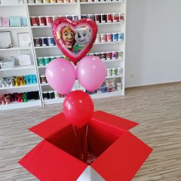 Balony z helem Kościerzyna 1