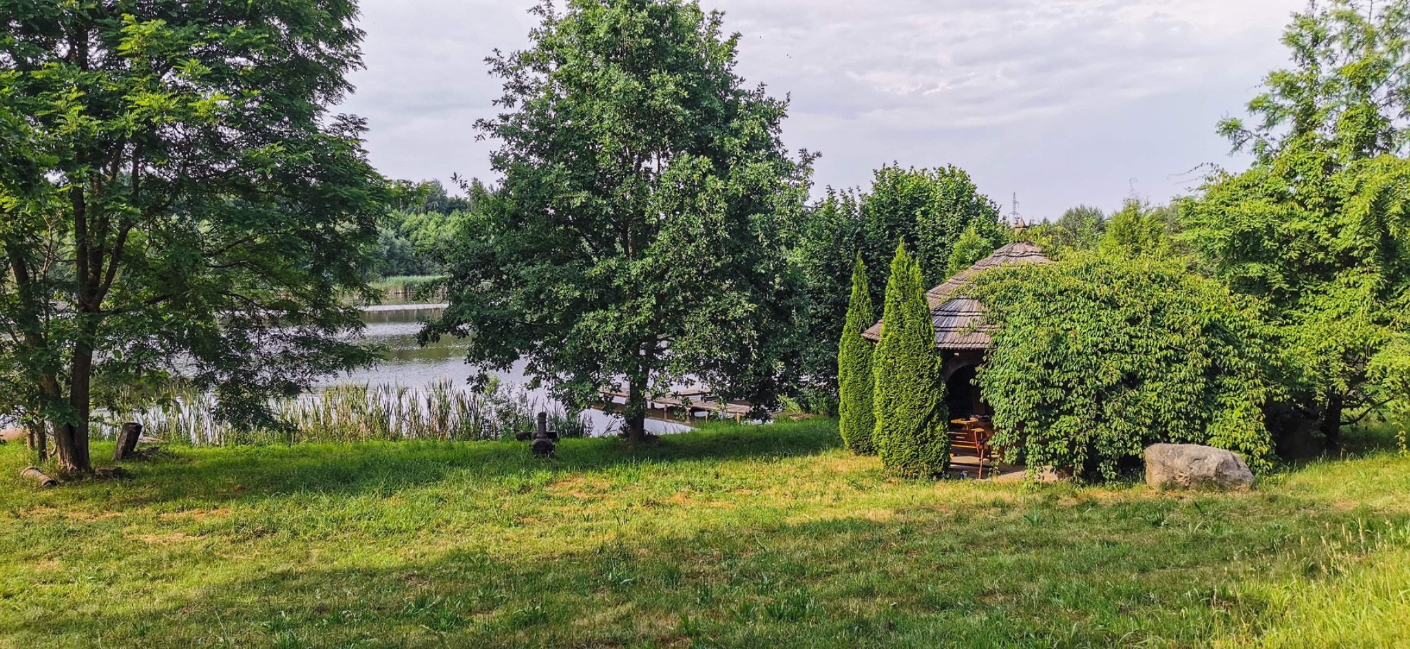 Widok na jezioro z drewnianą altaną porośniętą bluszczem, otoczoną drzewami i zielonym trawnikiem w letni dzień.