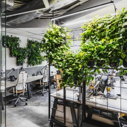 4Nature Smart Green N'Joy - meble z wbudowanym ogrodem wertykalnym.