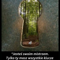 Tworzenie sklepów internetowych Wrocław 2