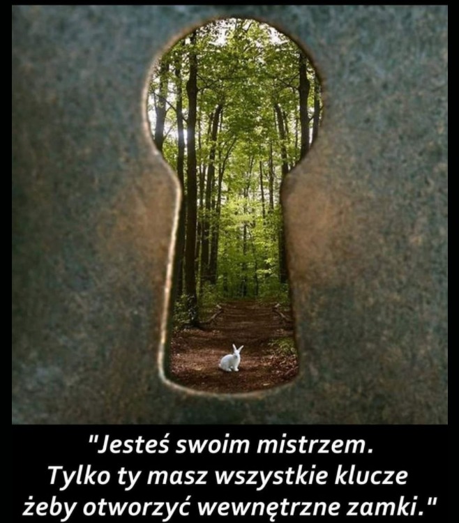 Las widziany przez dziurkę od klucza z białym królikiem na ścieżce; motywacja i rozwój osobisty.