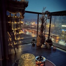 Projektowanie ogrodów Warszawa 4