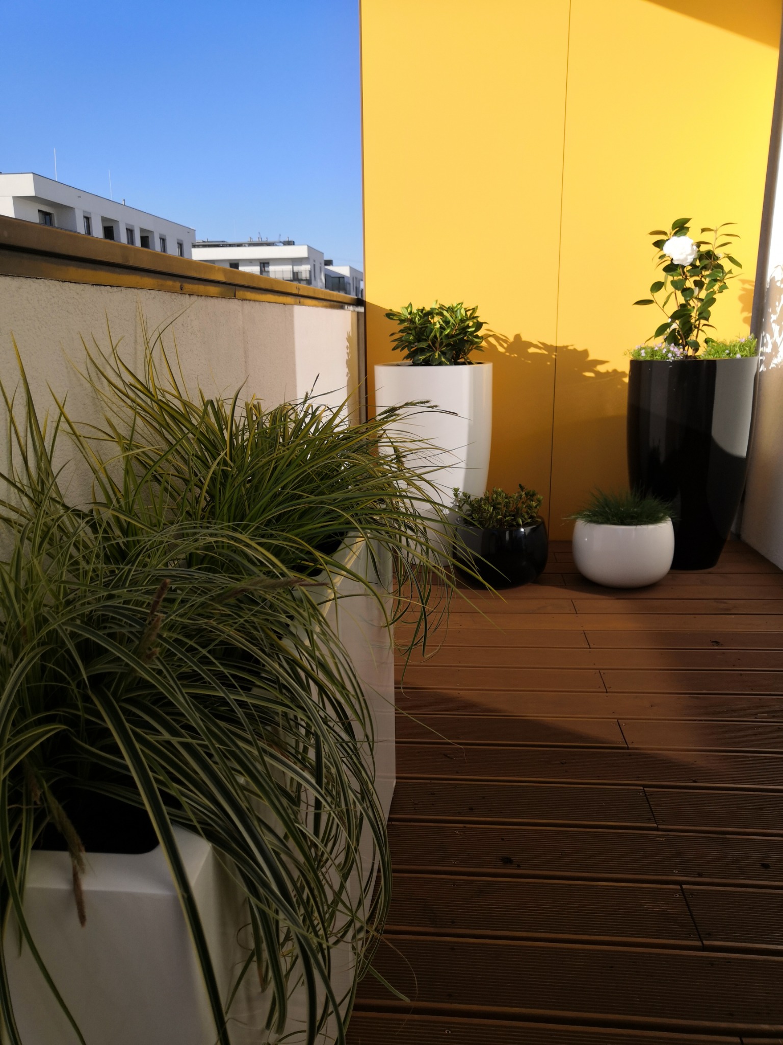 Aranżacja roślin w ozdobnych donicach na drewnianym tarasie balkonu z żółtą ścianą w tle.