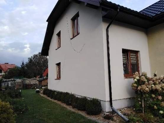 Świeżo otynkowana ściana boczna domu jednorodzinnego z trzema oknami w drewnianych ramach, brązowa rynna pionowa, krzewy hortensji i żywopłot wzdłuż fundamentów, widoczne ślady po deszczu na elewacji.