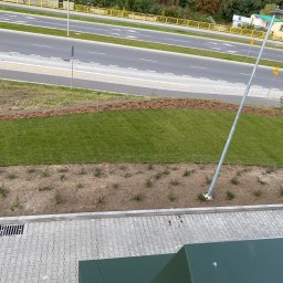 Z-K Ogród Zbigniew Nędza - Widok z góry na świeżo założony trawnik z rolki, obrzeże z kostki brukowej i fragment ulicy z żółtymi barierkami w tle.