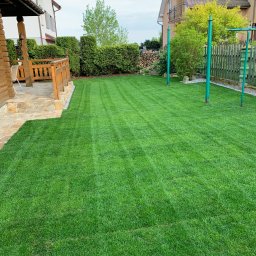 Z-K Ogród Zbigniew Nędza - Perfekcyjnie przystrzyżony trawnik z wyraźnymi pasami, sąsiadujący z kamiennym tarasem, otoczony zielonymi krzewami i drzewami w tle, z widocznymi elementami placu zabaw.