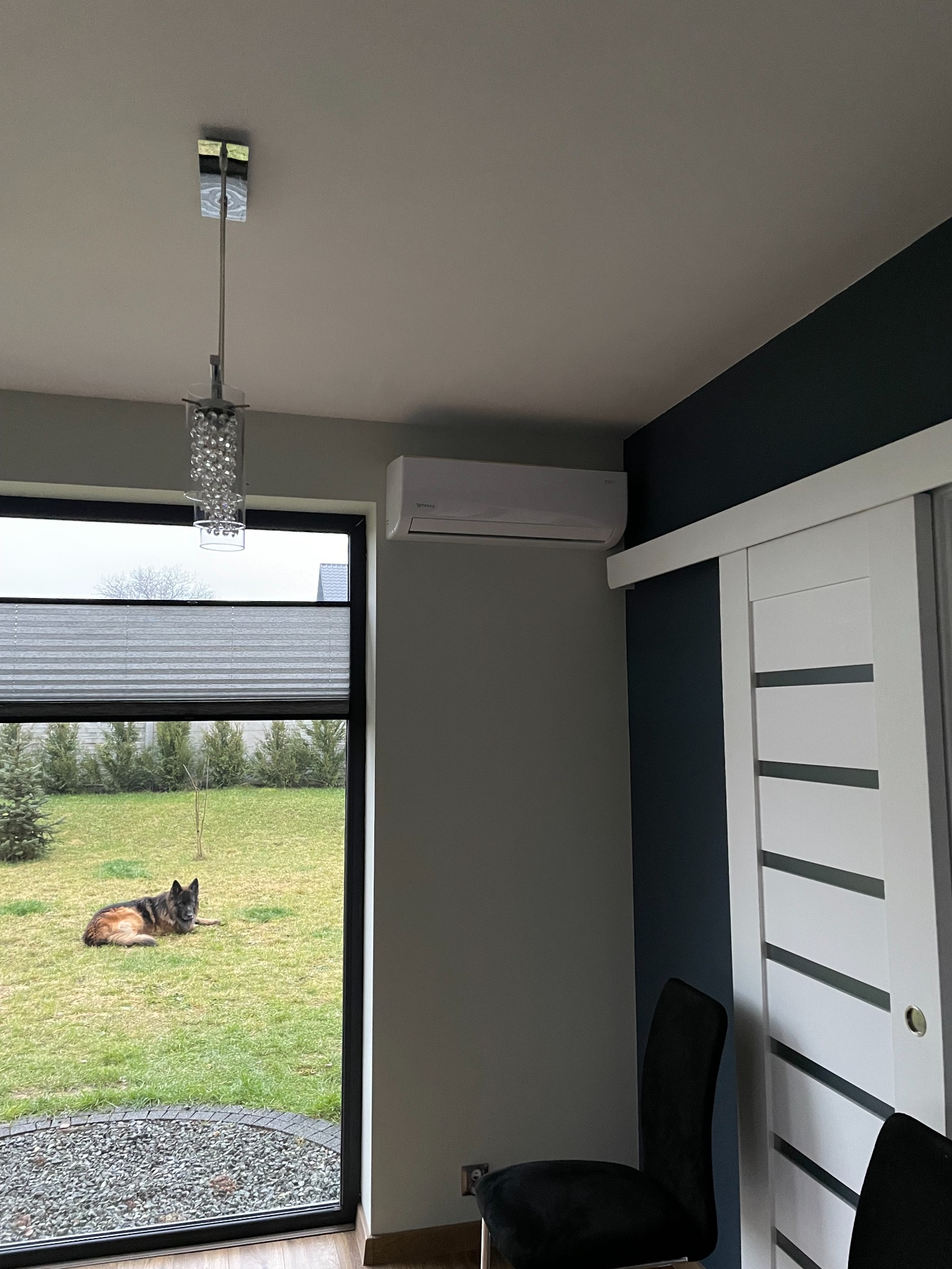 Biała jednostka klimatyzacyjna zamontowana na ścianie w nowoczesnym salonie z widokiem na ogród, gdzie leży pies.