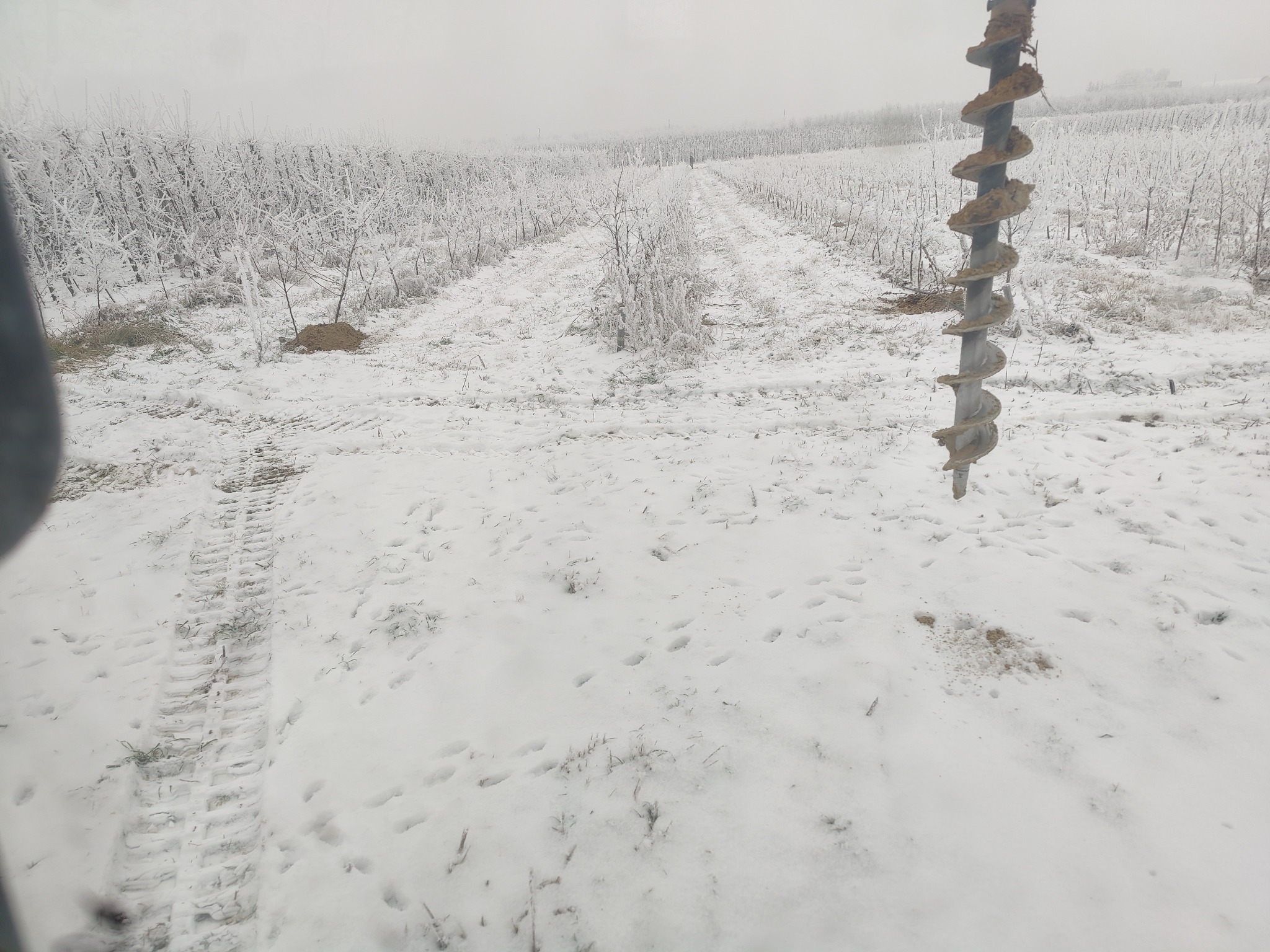 Wykop pod instalacje w zimowej scenerii Grójca: Śnieżny sad owocowy z widocznym świdrem ziemnym i śladami opon, sugerujący wiercenie otworów w zamarzniętej glebie.